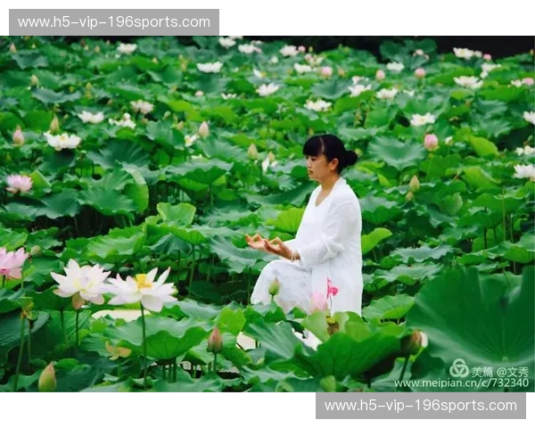 开云体育赛事回放，让你不再错过任何精彩瞬间